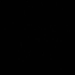 Meet your Posher, Evan